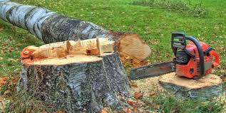 Best Firewood Processing and Delivery  in Tenino, WA