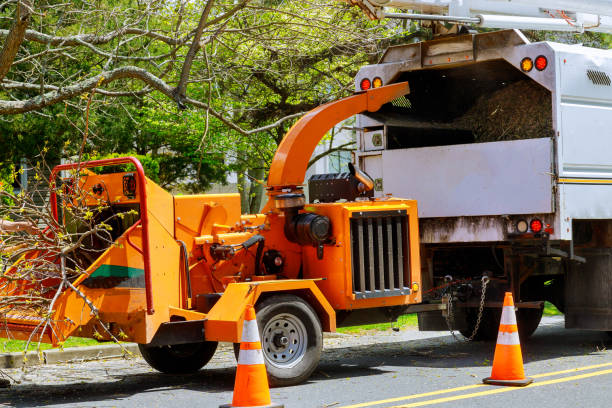 Best Seasonal Cleanup (Spring/Fall)  in Tenino, WA